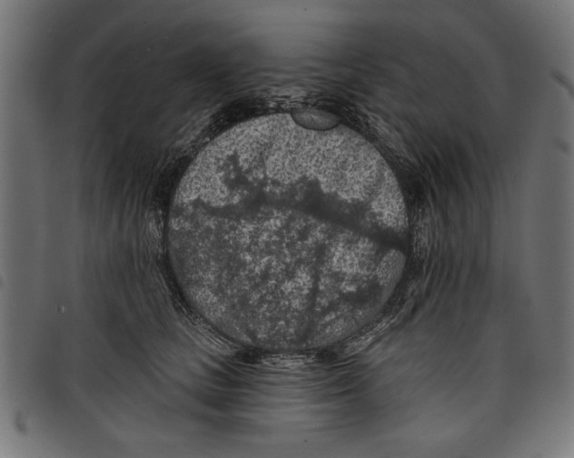 X0000097650661200803280930