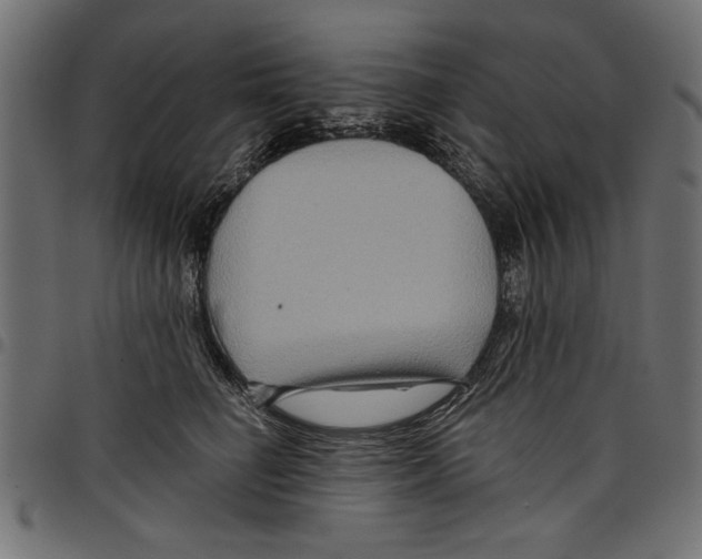 X0000097650662200803280930