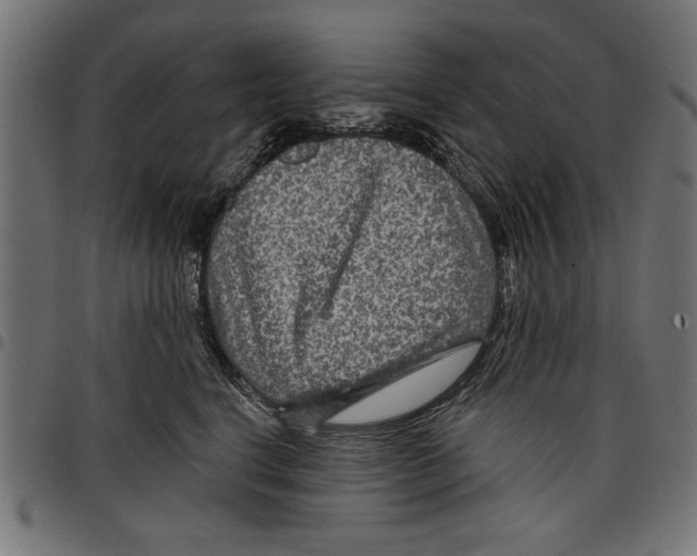 X0000097650664200803280930