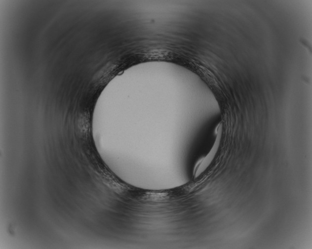 X0000097650665200803280930