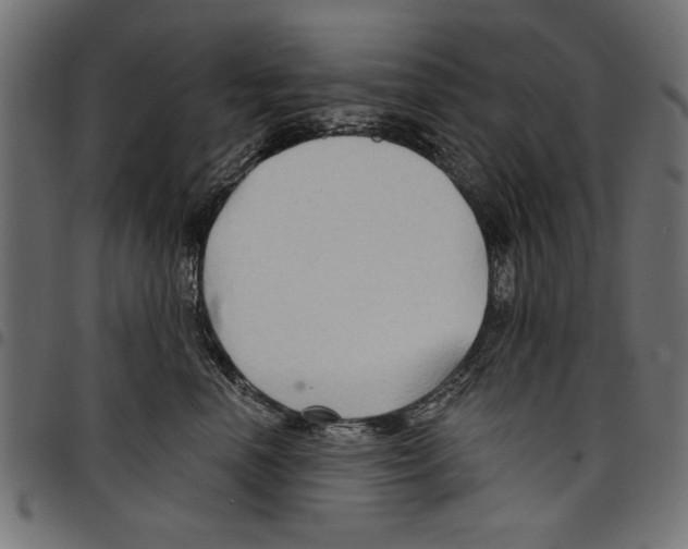 X0000097650666200803280930