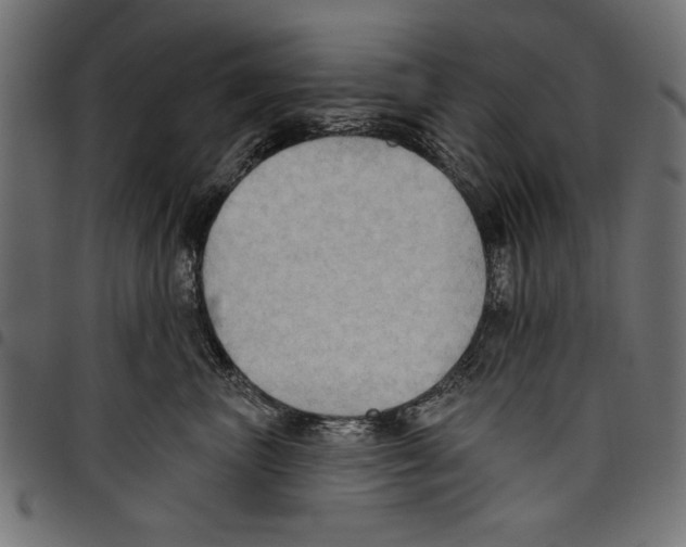 X0000097650667200803280930