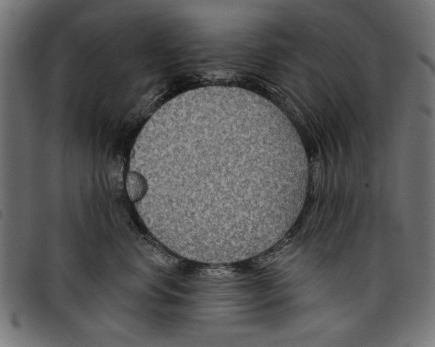 X0000097650668200803280930