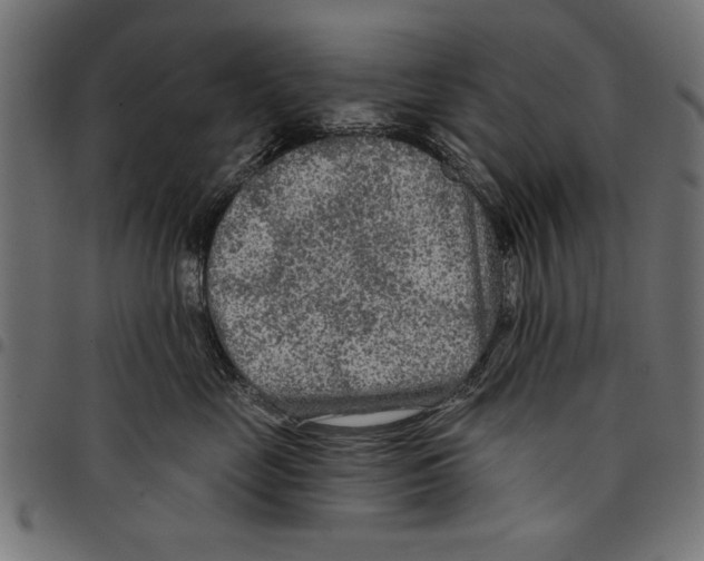 X0000097650669200803280930