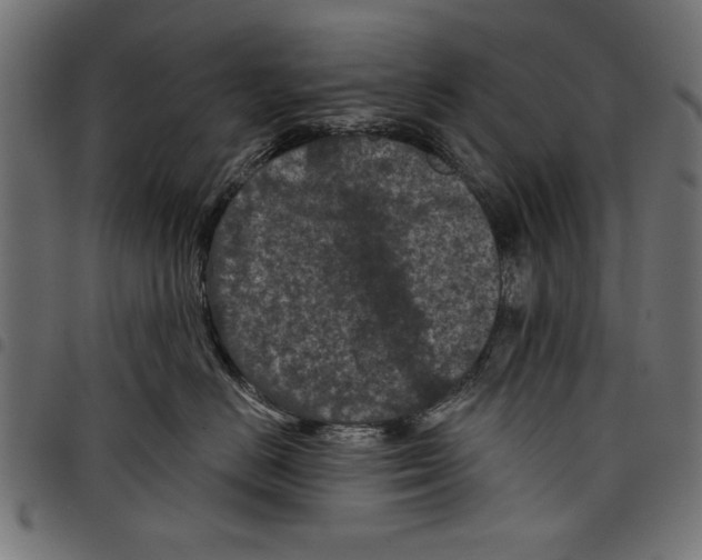 X0000097650670200803280930