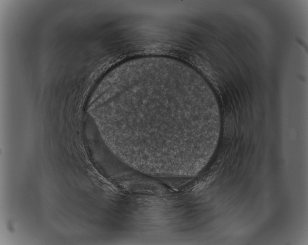 X0000097650673200803280929