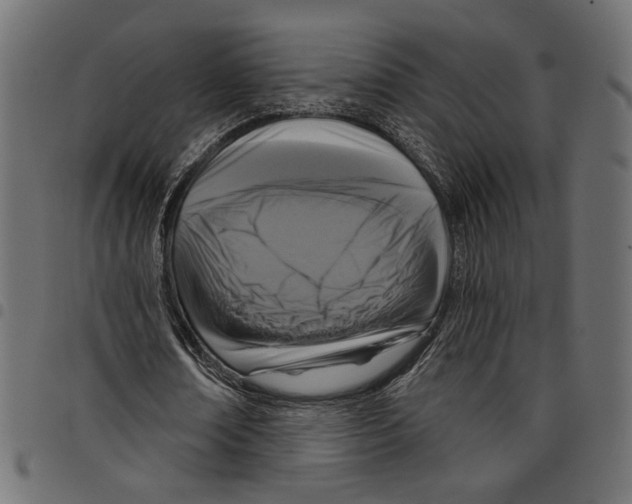 X0000097650674200803280929