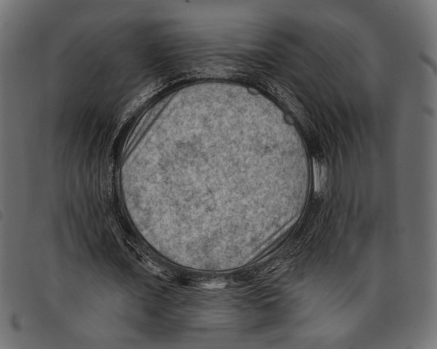 X0000097650675200803280929