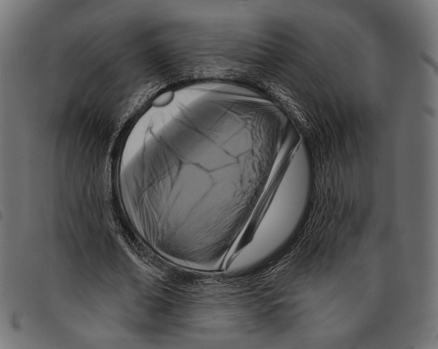 X0000097650678200803280929