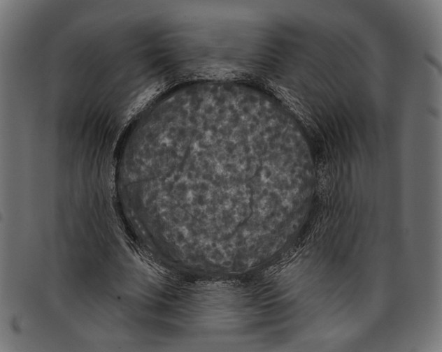 X0000097650679200803280929