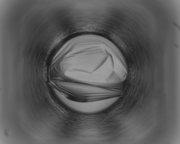 X0000097650680200803280929