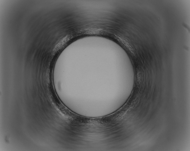 X0000097650682200803280929