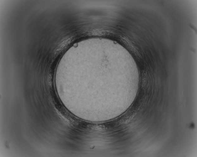 X0000097650683200803280929