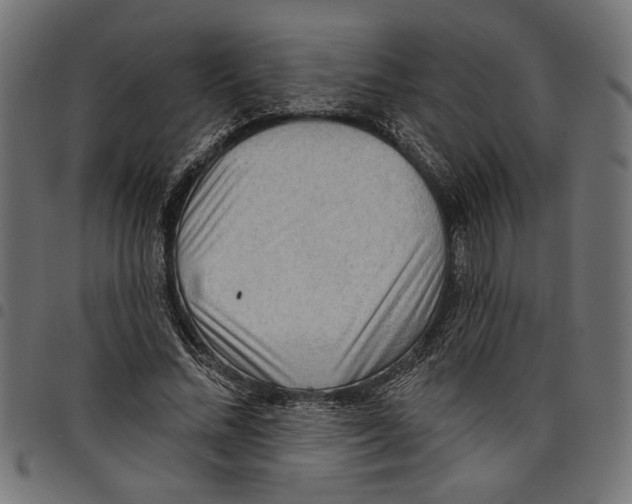 X0000097650684200803280929