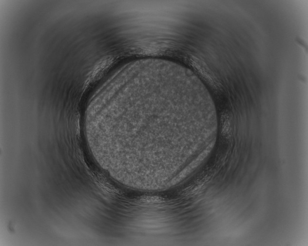 X0000097650685200803280929