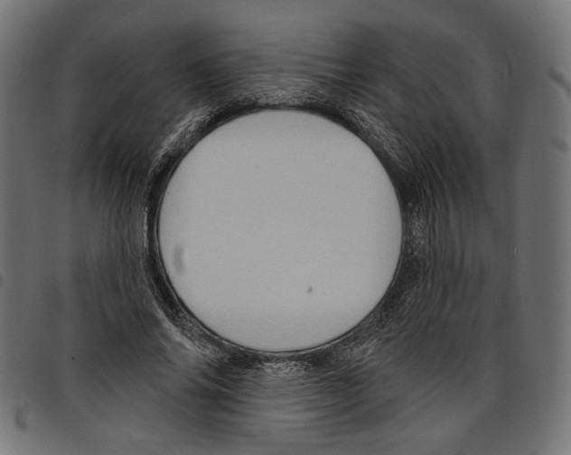 X0000097650686200803280929