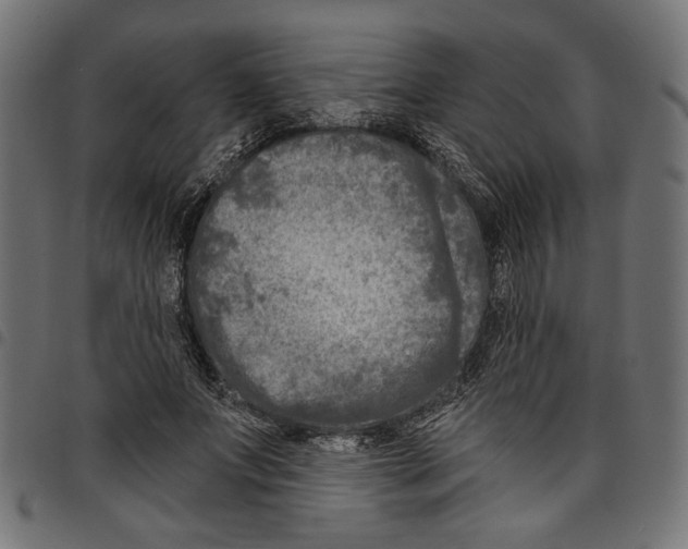 X0000097650687200803280929