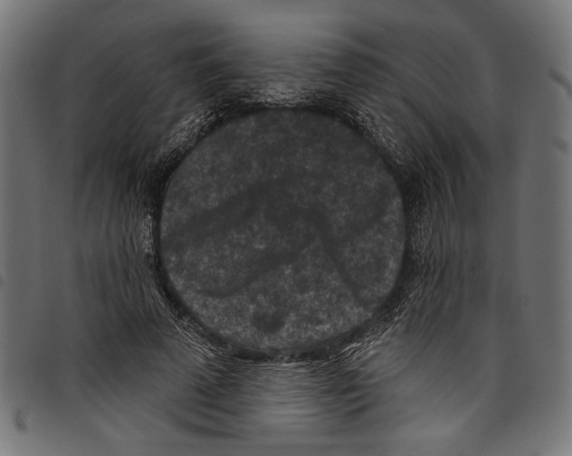 X0000097650689200803280929