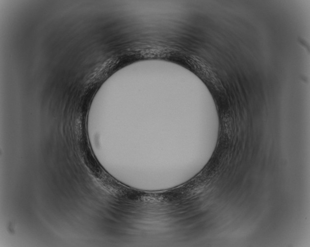 X0000097650690200803280929