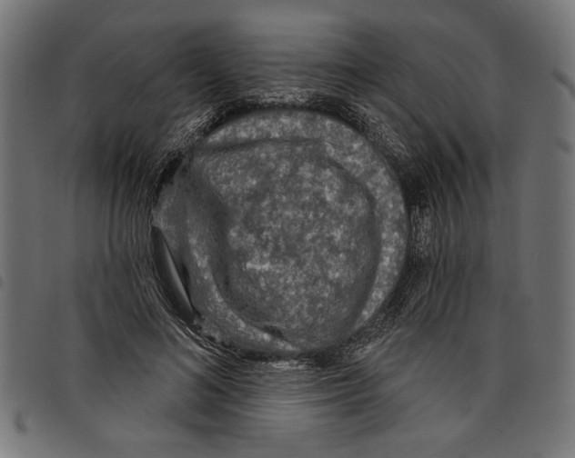 X0000097650692200803280929