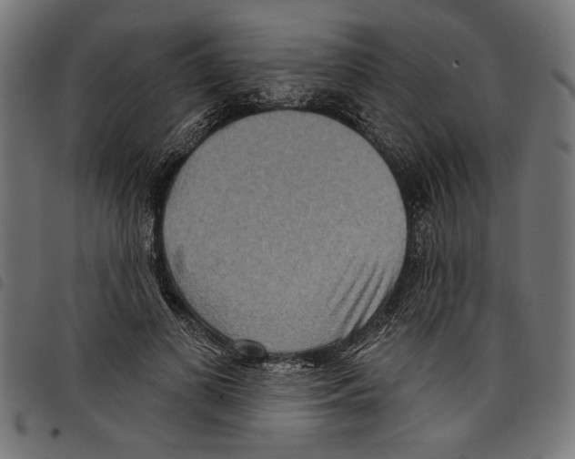 X0000097650693200803280929