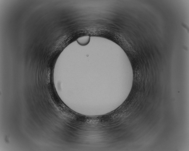 X0000097650694200803280929