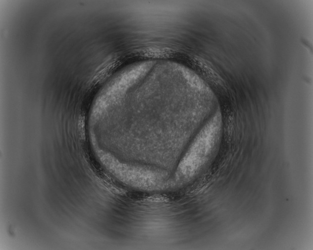 X0000097650696200803280929