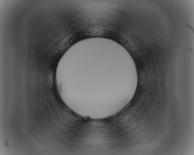 X0000097650697200803280929