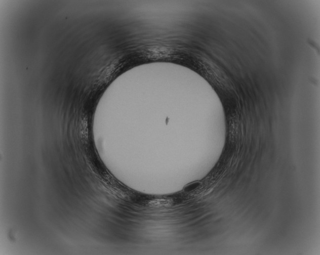 X0000097650700200803280929