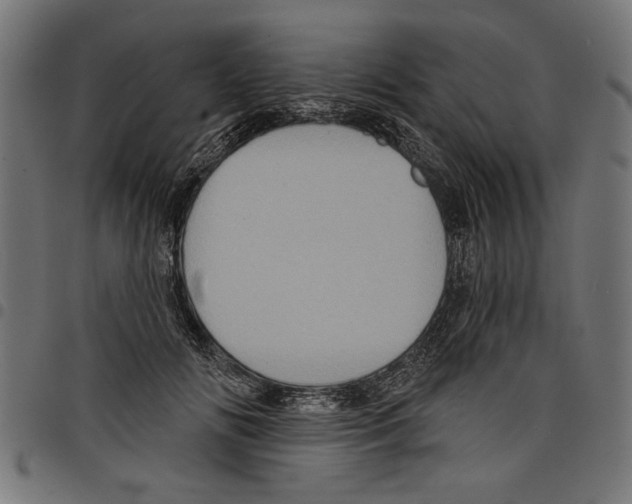 X0000097650702200803280929