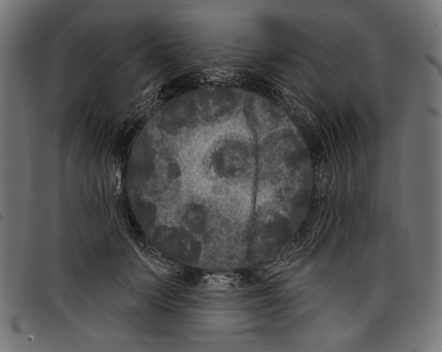 X0000097650703200803280929