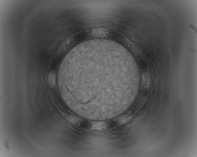 X0000097650705200803280929