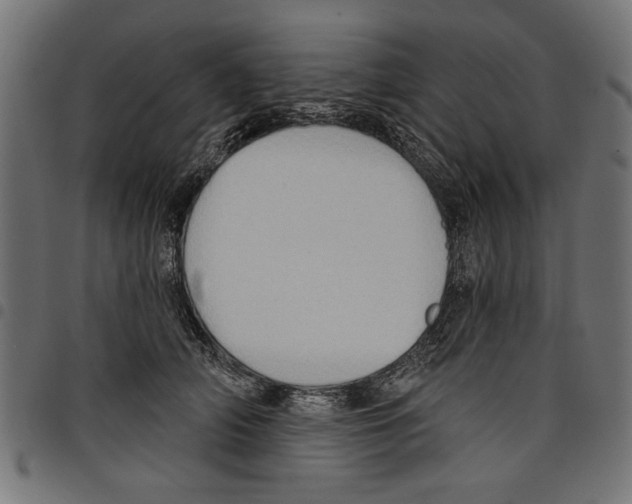 X0000097650706200803280929