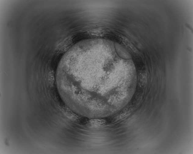 X0000097650707200803280929