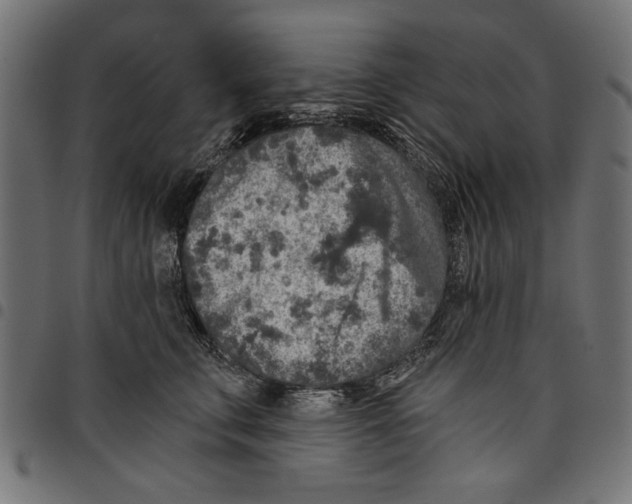 X0000097650711200803280929