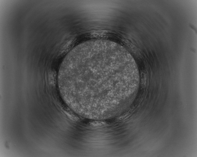 X0000097650712200803280929