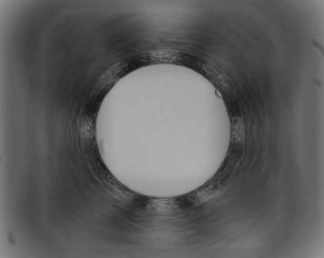 X0000097650713200803280929