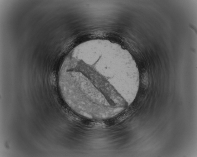 X0000097650715200803280929