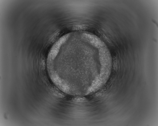 X0000097650716200803280929