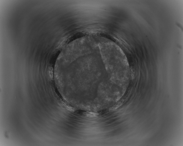 X0000097650718200803280929