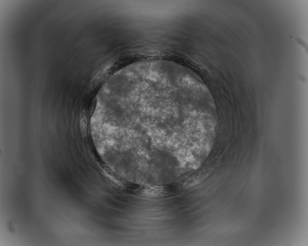 X0000097650720200803280929