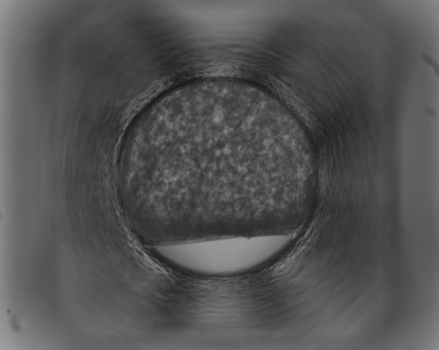 X0000097650721200803280928