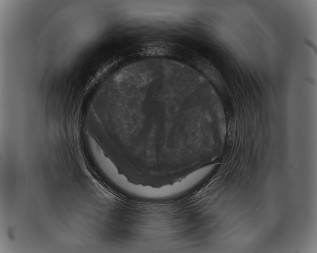 X0000097650722200803280928