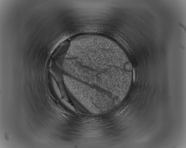 X0000097650723200803280928