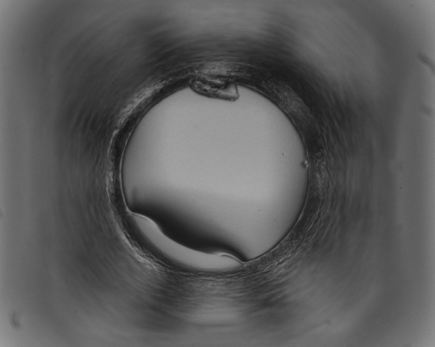 X0000097650728200803280928