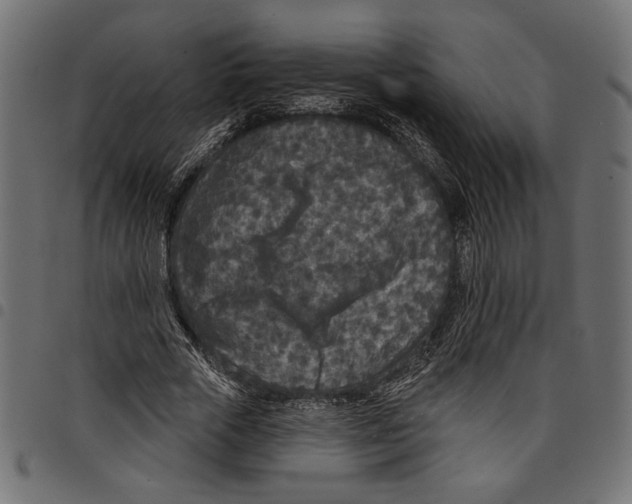 X0000097650729200803280928