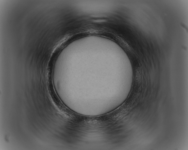 X0000097650730200803280928