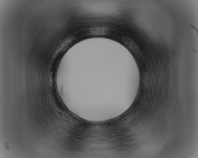 X0000097650731200803280928