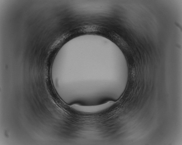 X0000097650732200803280928