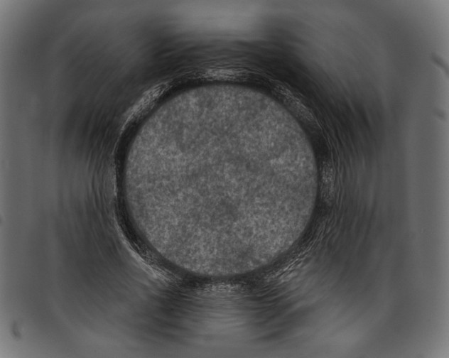 X0000097650734200803280928